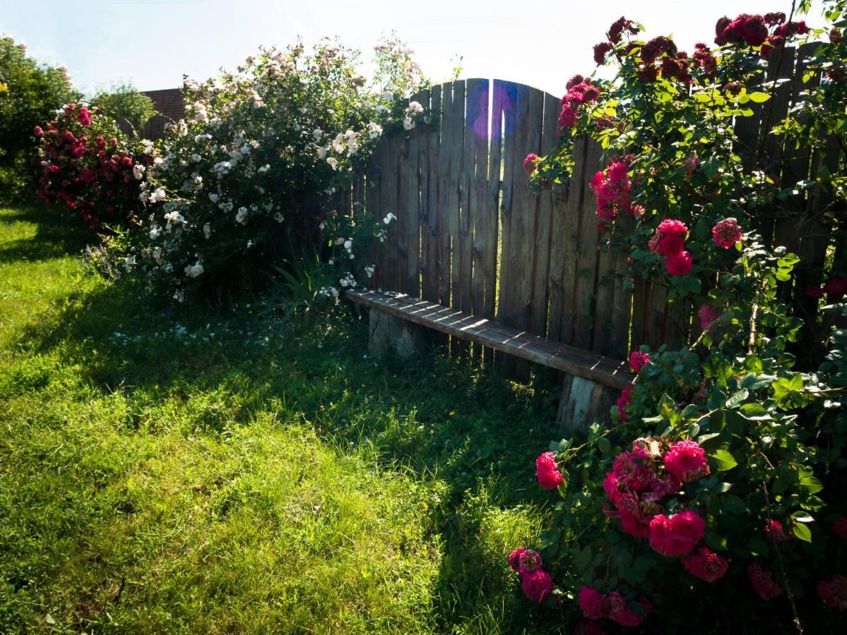 Vesela Sadyba Veselivka Bagian luar foto